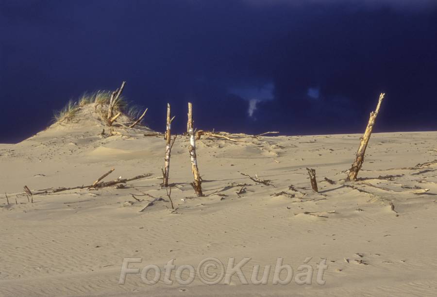 Písečné duny 10.jpg